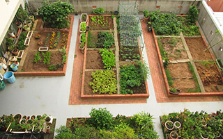 4階家庭菜園
