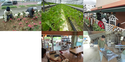 ゆいまーる施設内